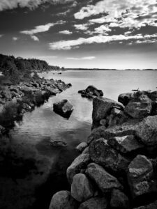 Luontokuvaus Wp 1699953835752 225x300