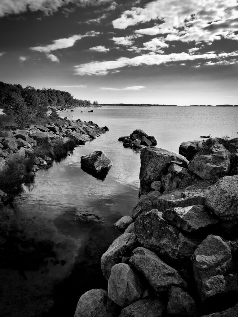 Etusivu Wp 1699953835752 768x1024