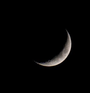 Luontokuvaus Wp 17083323752568582086335711644220 290x300