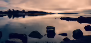 Luontokuvaus Cropped Z50 3729 Enhanced NR Scaled 1 300x142